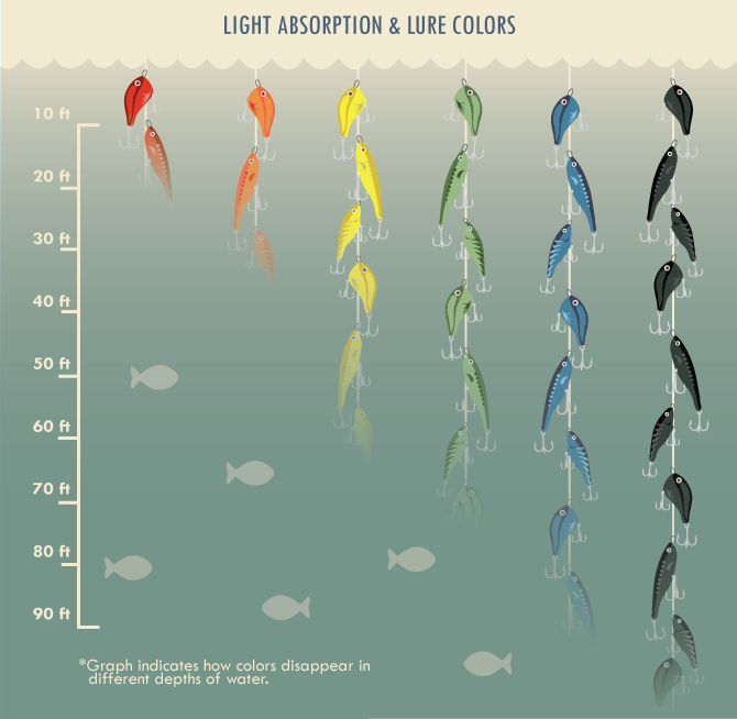 Light Absorption And Lure Colors