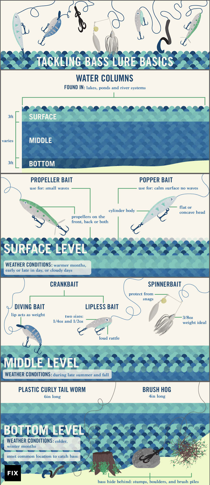 Your Guide to Selecting the Best Bass Fishing Jig
