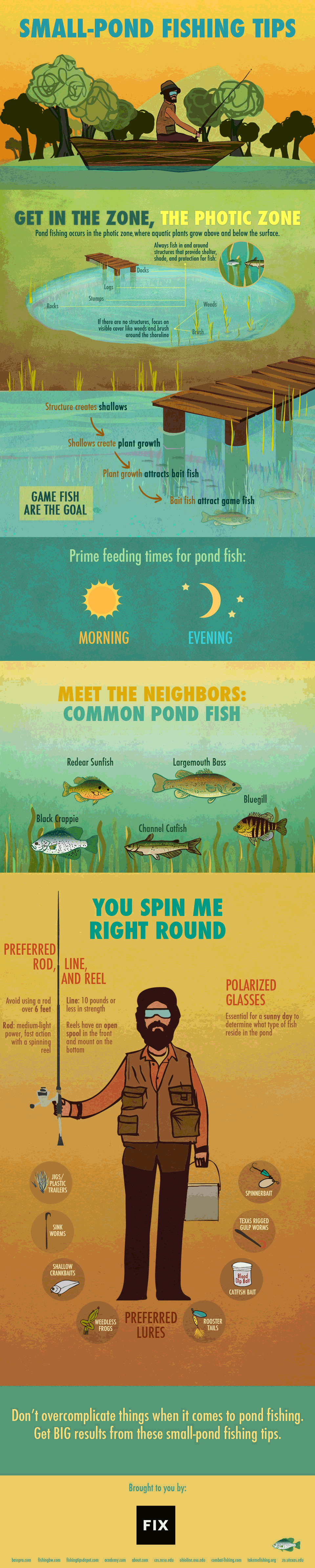 How to Tell If There are Fish in a Pond: Unveil Secrets!