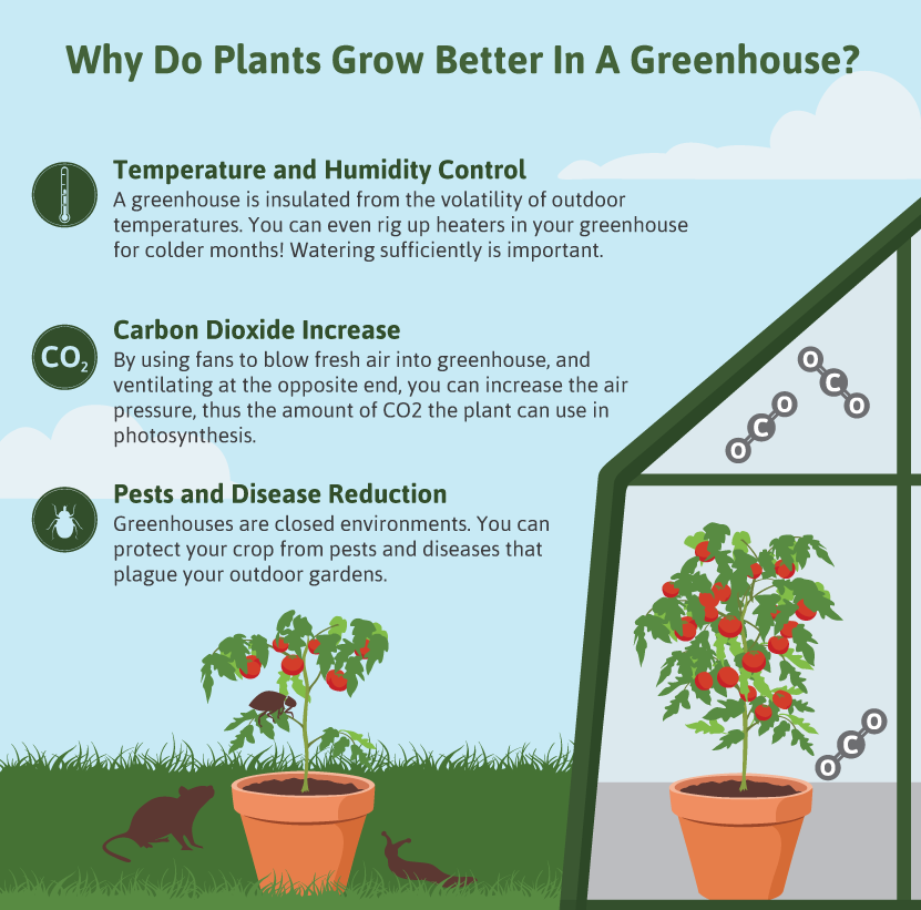 Greenhouse Infographic