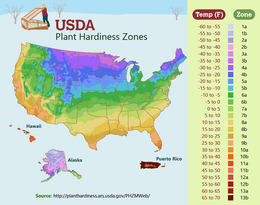 Usda Plant Hardiness Zone Map 005 