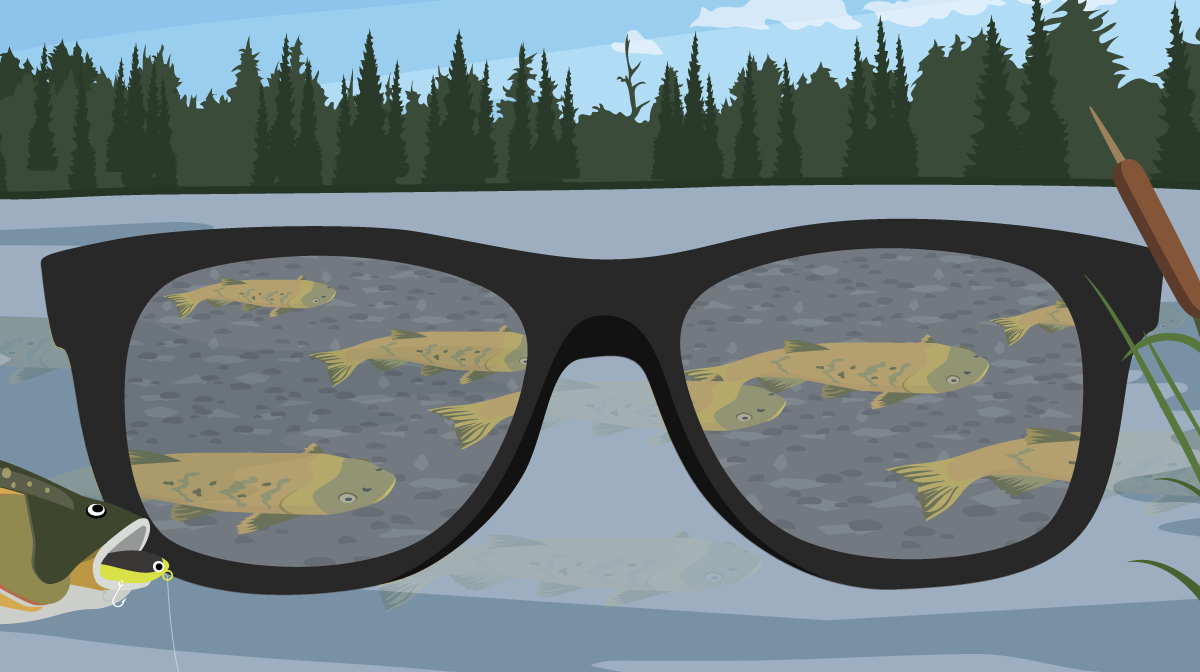 sunglasses to see fish in the water