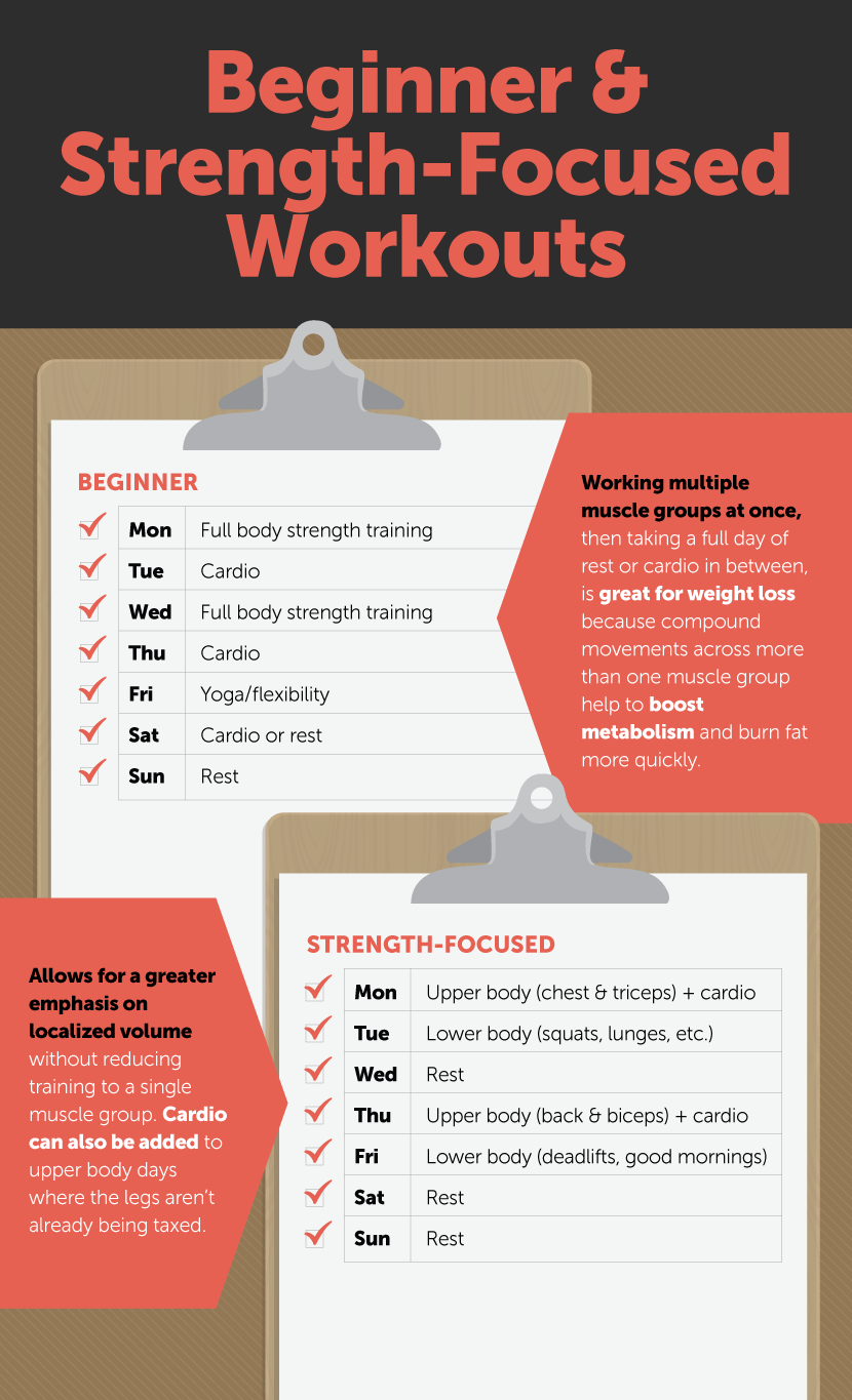 Muscle Group Workout Schedule